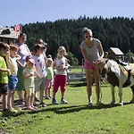 Hotel Berghof 4*
