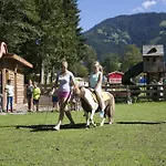 Berghof 4* Söll