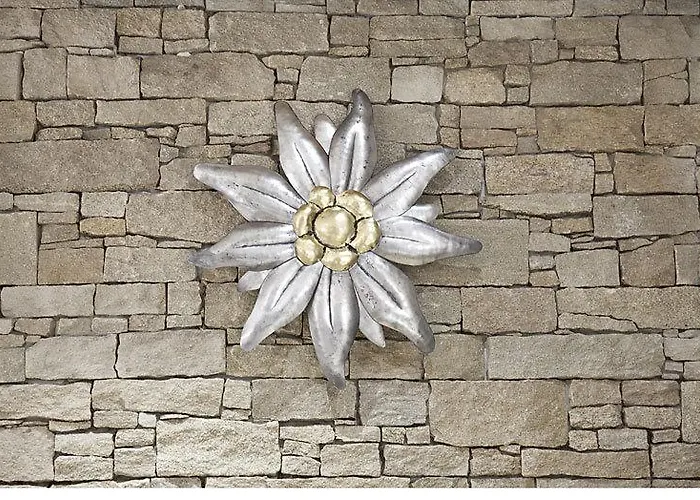 فندق بيرغهوف 4*