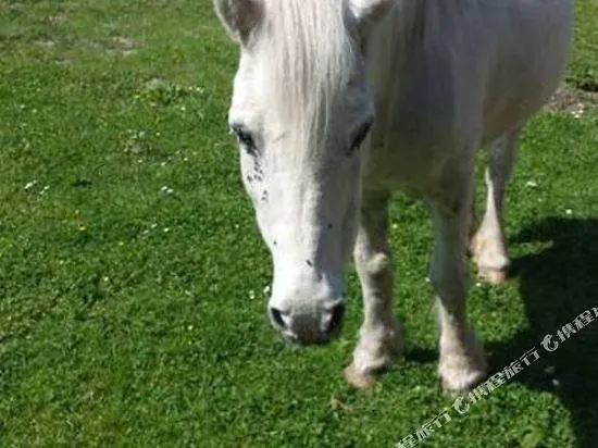 بيرغهوف فندق 4*