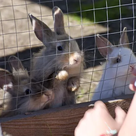 Berghof Отель Зёлль